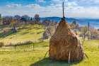 Romania, Transylvania, Aspra Traditional hay stacks. Art Print